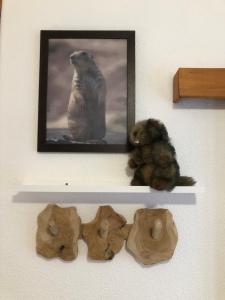 Le chalet de "Lamarmotte" T3 rénové avec terrasse sud en rez de jardin