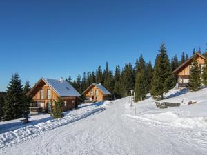 Chalet in Kärnten mit Sauna nahe Skipisten