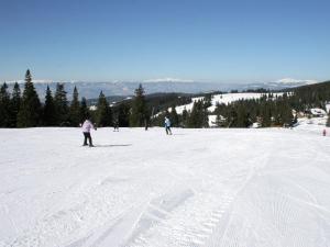 Chalet in Kärnten mit Sauna nahe Skipisten