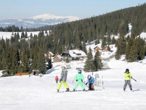 Chalet in Kärnten mit Sauna nahe Skipisten