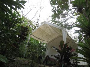 Glamping Rio Celeste Heliconia