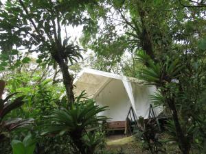Glamping Rio Celeste Heliconia