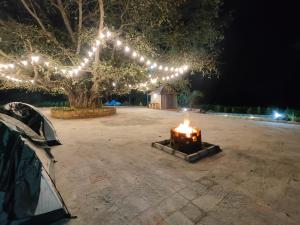 Suvarna Farm Stay