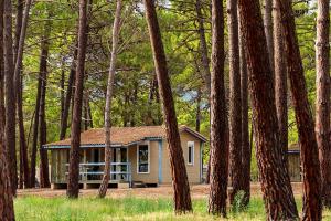 Two-Bedroom Chalet With Air Conditioning room in Camping Golfo Di Sogno