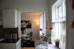 Bergstaðastræti Apartment - 4hvězdičkové hotely ve městě Reykjavík