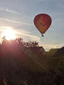 Appartements Tres Proche Colmar Evasion sur la route des Vins : photos des chambres