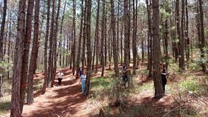 Hotel Finca Buenos Aires Barichara