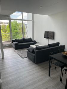 Cologne City is Calling