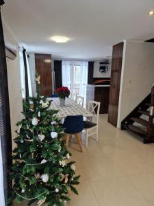 Apartament Zamiejski Ryn