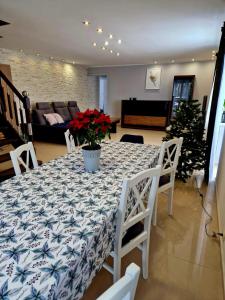 Apartament Zamiejski Ryn