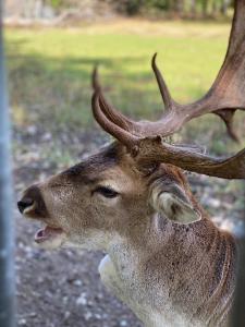 Ferienhaus International