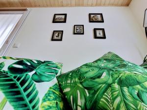 Appartements Into the Wild - T2 Cosy tout confort : photos des chambres