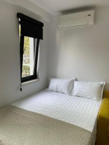 Digital Nomad Central ap