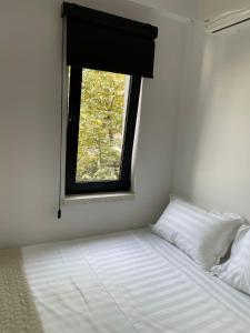 Digital Nomad Central ap