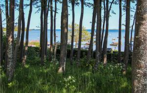 3 Bedroom Nice Home In Samsø