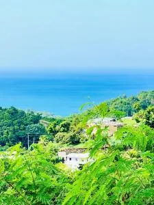 Jealous Mountain Bed-Sit - Belle Plain