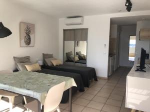 Appartements Studio climatise pour 2, proche plage et commerces, animaux admis, WiFi, parking - FR-1-466A-20 : photos des chambres