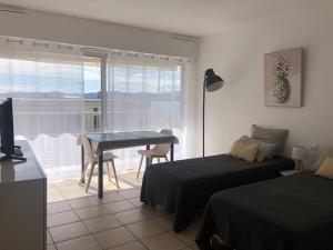 Studio climatisé pour 2, proche plage et commerces, animaux admis, WiFi, parking - FR-1-466A-20