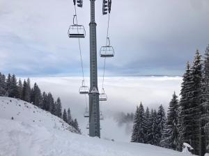 Appartement cosy à Bernex, proche des pistes et sentiers, avec terrasse ensoleillée et wifi. - FR-1-498-22