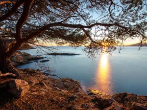 Studio climatisé pour 3 pers, à 50m de la plage, centre-ville Saint-Raphaël, WiFi, parking dispo - FR-1-466A-38