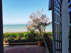Cabourg : Appartement moderne 45 pièces, accès plage, 8 pers, jardin et terrasse, parking, WIFI - FR-1-487-304