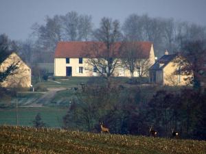 Maisons de vacances Gite Le Pin-la-Garenne, 3 pieces, 4 personnes - FR-1-497-169 : Maison de Vacances