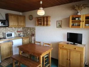 Studio cabine au pied des pistes avec balcon et parking - Auris en Oisans - FR-1-297-14 - Auris