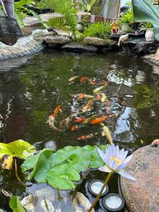 Pool Villas by Honey - Luxury Family Resort-8 km from Beach & Nightlife