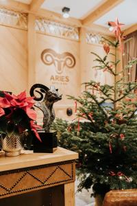 Aries Hotel & SPA Wisła