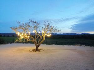 B&B / Chambres d'hotes L'arbre qui chante : photos des chambres