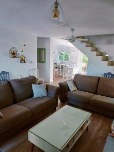 The Blue Family House