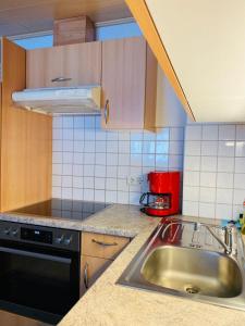 Apart Claudia - Ski-in and Ski-out