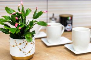 Apartaments Piotrkowska 101