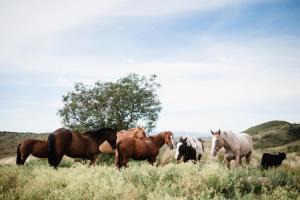 Estancia Acuarela del Río