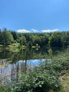 Maisons de vacances Les Brizards, Morvan, Maison du Poete : photos des chambres