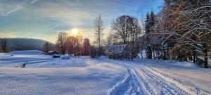 Biała chatka w lesie na Roztoczu