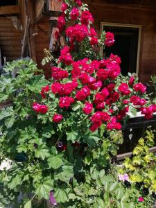 Kuanerhof Wohnung 2 Personen