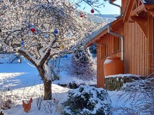 Chalets Le Rucher de St Pierre : photos des chambres