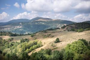 Campings Huttopia Foret des Vosges : photos des chambres