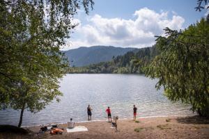 Campings Huttopia Foret des Vosges : photos des chambres