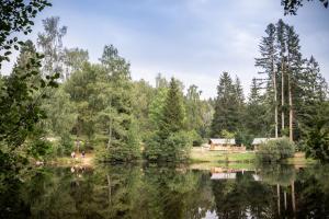 Campings Huttopia Foret des Vosges : photos des chambres