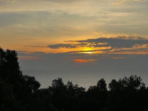 Mountain House Phú Quốc