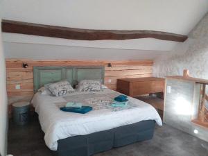 B&B / Chambres d'hotes La BerryCurienne proche du Zoo de Beauval Saint-Aignan avec SDB, WC ET SPA PRIVATIF pour chaque chambre : photos des chambres