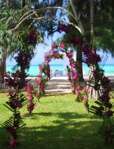 Kiwengwa, North Coast, Zanzibar, Tanzania.