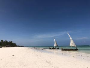 Kiwengwa, North Coast, Zanzibar, Tanzania.