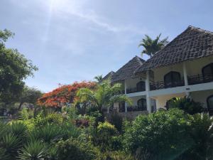 Kiwengwa, North Coast, Zanzibar, Tanzania.