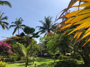 Kiwengwa, North Coast, Zanzibar, Tanzania.