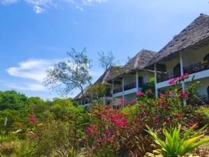 Kiwengwa, North Coast, Zanzibar, Tanzania.