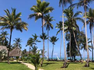 Kiwengwa, North Coast, Zanzibar, Tanzania.