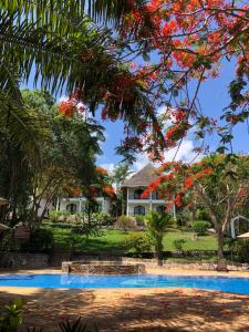 Kiwengwa, North Coast, Zanzibar, Tanzania.